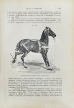 Урусов, С.П. Книга о лошади. Настольная книга для каждого коннозаводчика, коневода, коневладельца и любителя лошади