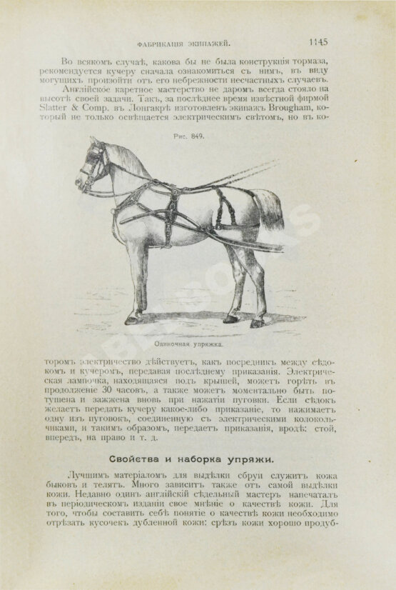 Антикварная книга Урусов, С.П. Книга о лошади. Настольная книга для каждого коннозаводчика, коневода, коневладельца и любителя лошади