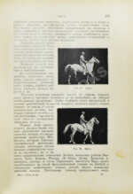 Урусов, С.П. Книга о лошади. Настольная книга для каждого коннозаводчика, коневода, коневладельца и любителя лошади