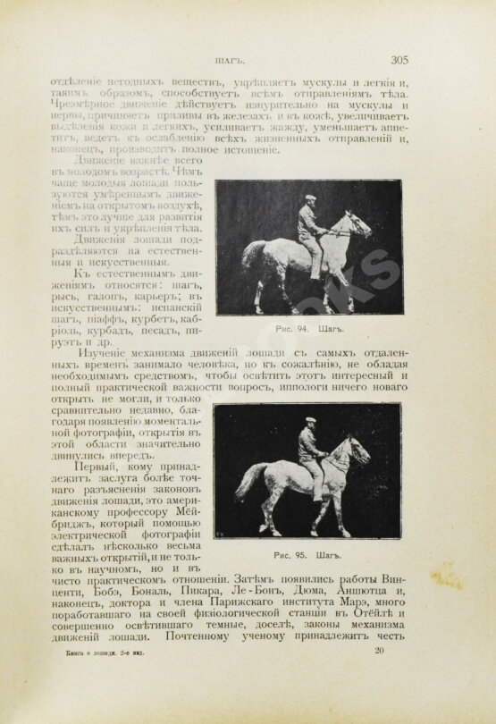 Антикварная книга Урусов, С.П. Книга о лошади. Настольная книга для каждого коннозаводчика, коневода, коневладельца и любителя лошади