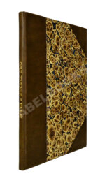 Загоскин, Н.П. Врачи и врачебное дело в старинной России