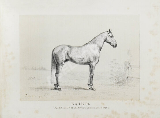 Антикварная книга Сонцов, Д.Д. [автограф] Альбом пятидесятилетнего юбилея Московского общества любителей конского бега. 1834-1884