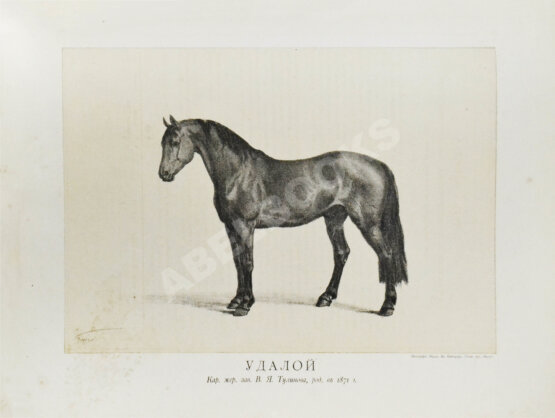 Антикварная книга Сонцов, Д.Д. [автограф] Альбом пятидесятилетнего юбилея Московского общества любителей конского бега. 1834-1884