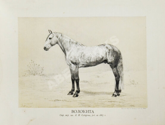 Антикварная книга Сонцов, Д.Д. [автограф] Альбом пятидесятилетнего юбилея Московского общества любителей конского бега. 1834-1884