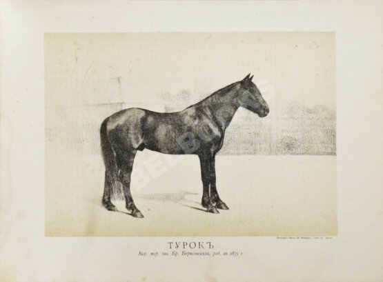 Антикварная книга Сонцов, Д.Д. [автограф] Альбом пятидесятилетнего юбилея Московского общества любителей конского бега. 1834-1884