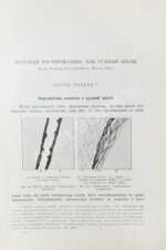 Богданович, К.И. Рудные месторождения