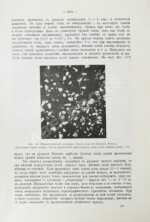 Богданович, К.И. Рудные месторождения