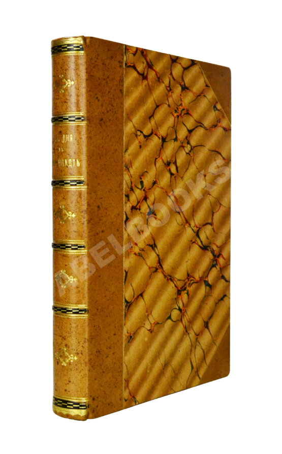 Антикварная книга Евдоким [Мещерский, В.И.] Два дня в Кронштадте