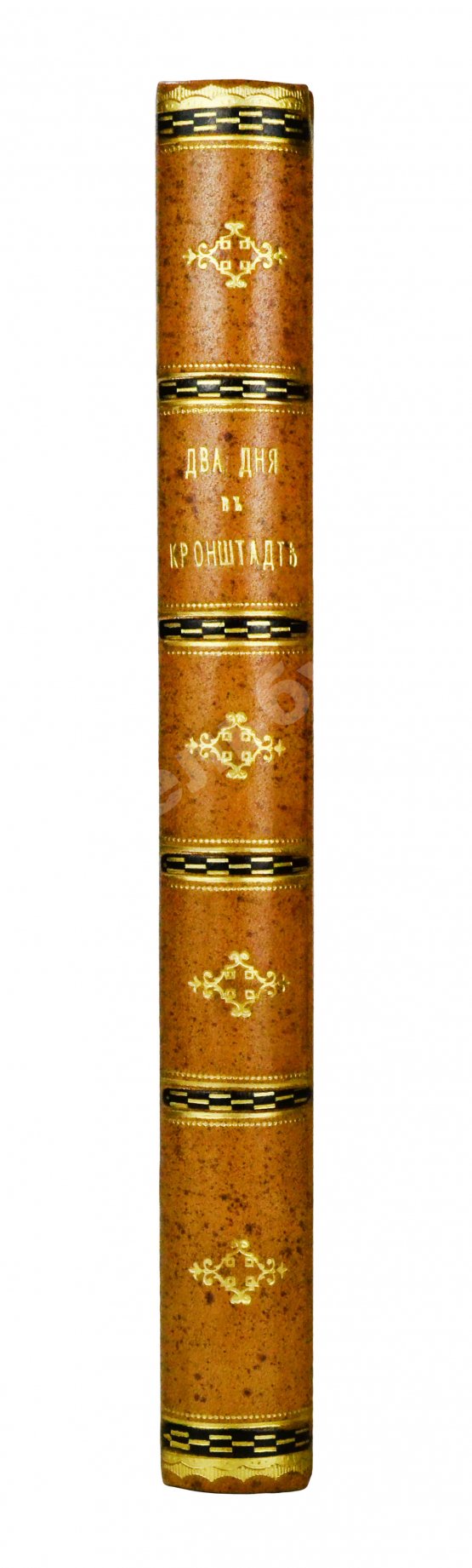 Антикварная книга Евдоким [Мещерский, В.И.] Два дня в Кронштадте