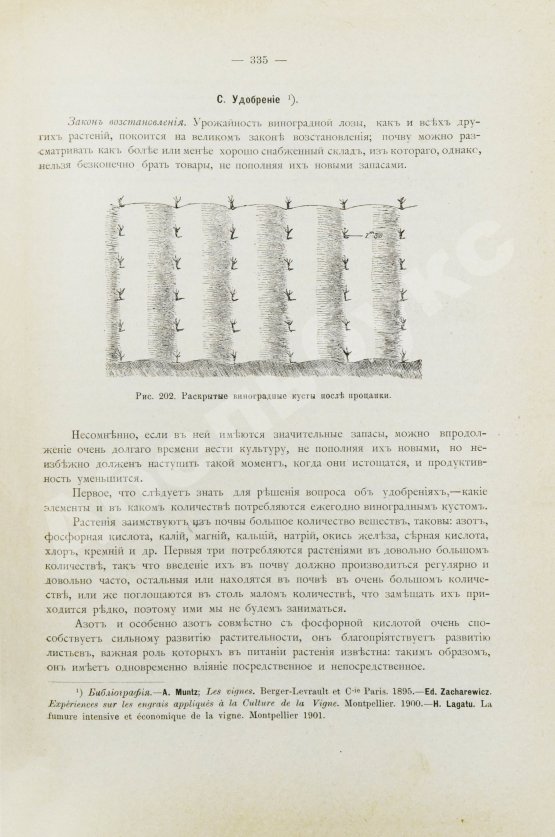 Антикварная книга Фоэкс, Г. Полный курс виноградарства
