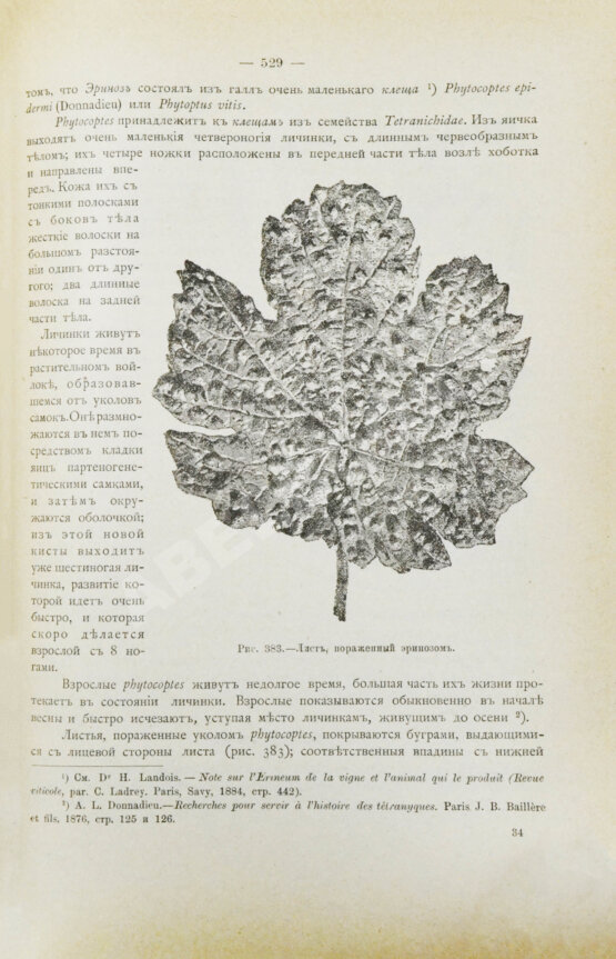 Антикварная книга Фоэкс, Г. Полный курс виноградарства