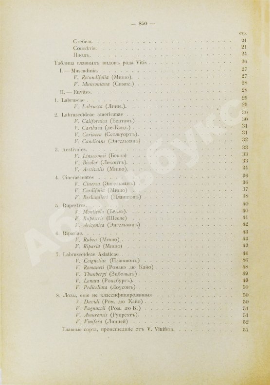Антикварная книга Фоэкс, Г. Полный курс виноградарства