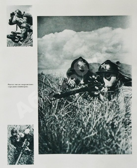 Антикварная книга Красная Армия