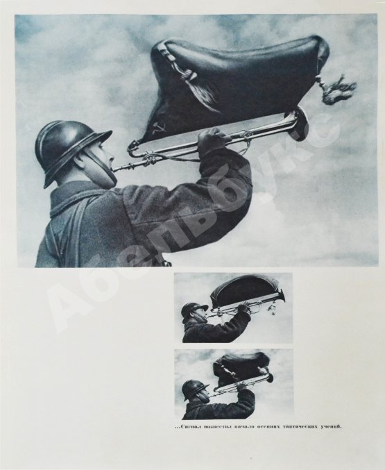 Антикварная книга Красная Армия