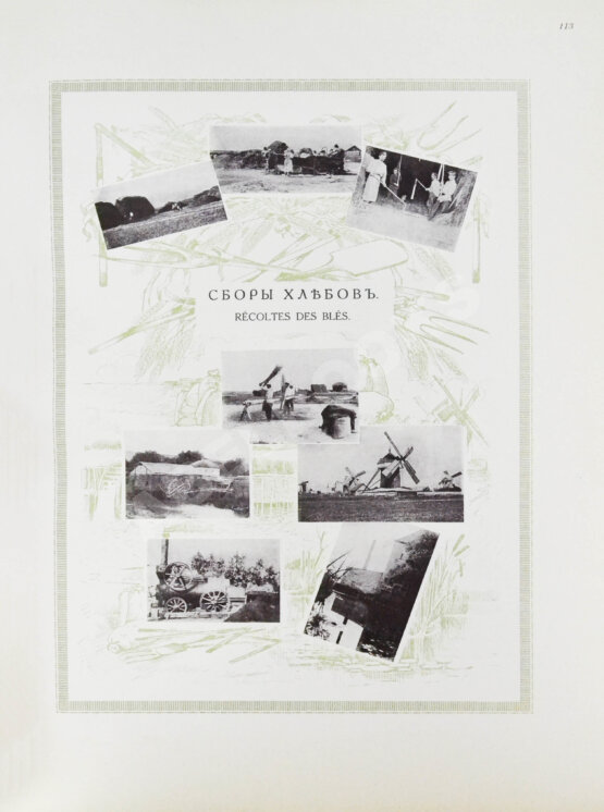 Антикварная книга Сельскохозяйственный промысел в России. Подносной экземпляр