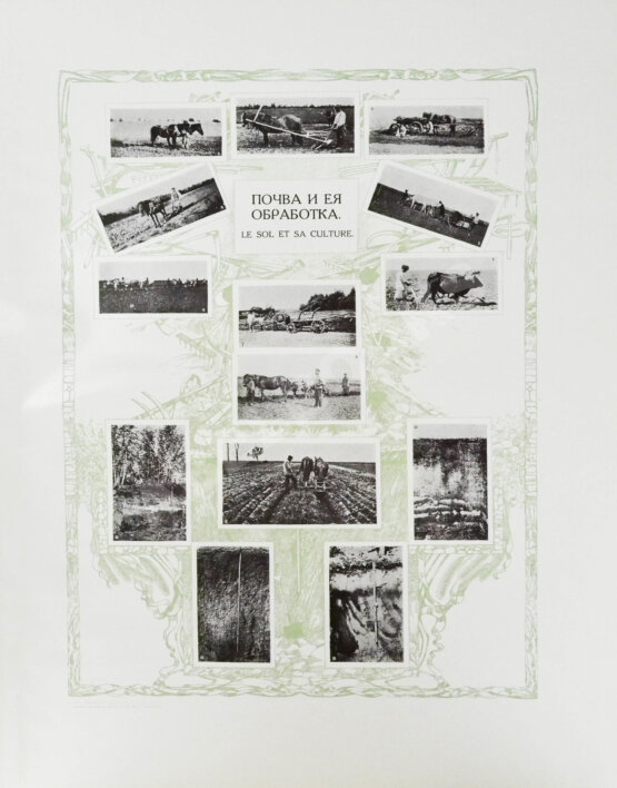 Антикварная книга Сельскохозяйственный промысел в России. Подносной экземпляр