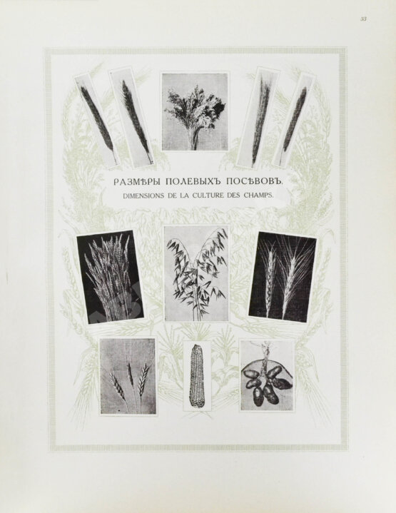Антикварная книга Сельскохозяйственный промысел в России. Подносной экземпляр
