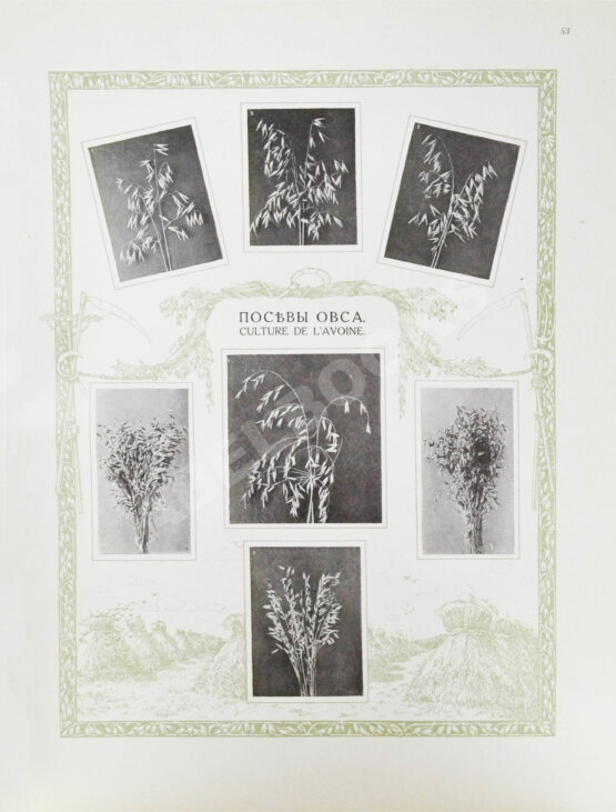 Антикварная книга Сельскохозяйственный промысел в России. Подносной экземпляр