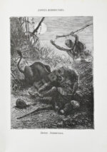 Тиссандье, Г. Мученики науки