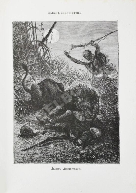 Антикварная книга Тиссандье, Г. Мученики науки Антикварная книга Тиссандье, Г. Мученики науки