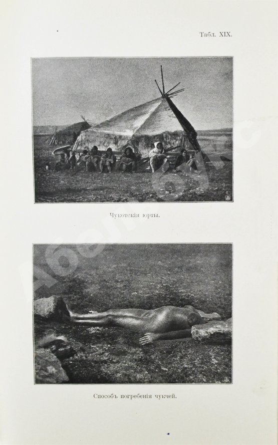 Антикварная книга Богданович, К.И. Очерки Чукотского полуострова