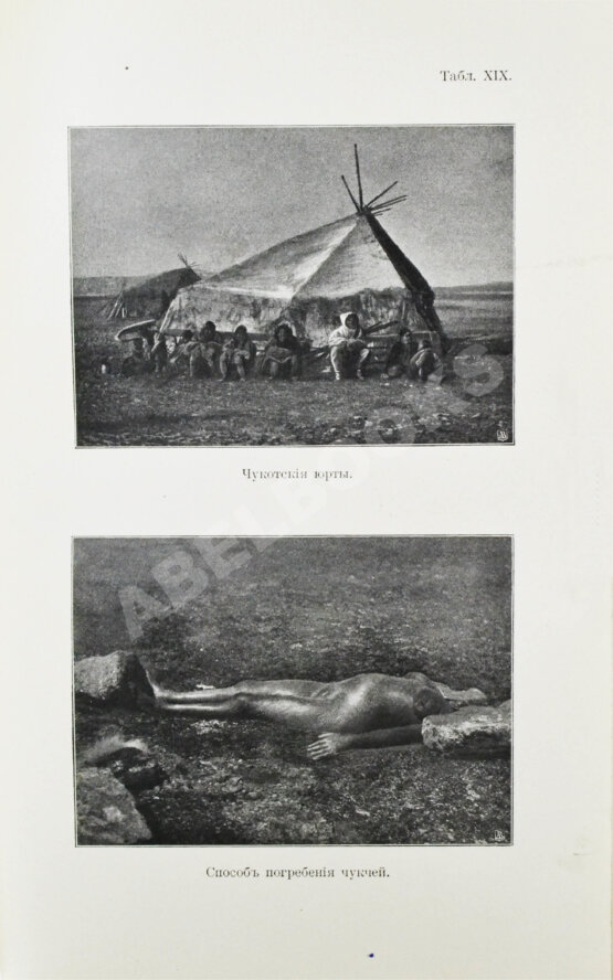 Антикварная книга Богданович, К.И. Очерки Чукотского полуострова