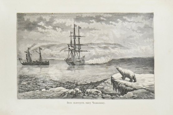 Антикварная книга Гельвальд, Ф. фон. В области вечного льда. История путешествий к Северному полюсу с древнейших времён до настоящего