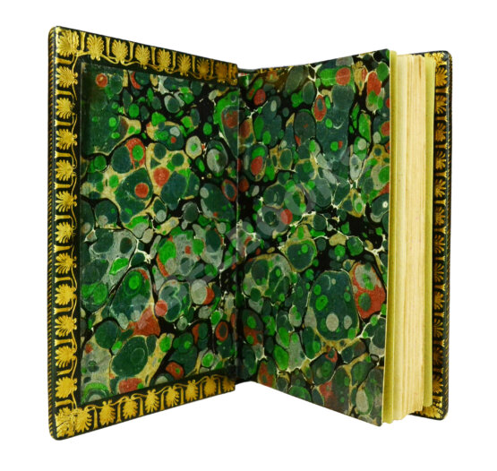 Антикварная книга Наполеон, сам себя изображающий Антикварная книга Наполеон, сам себя изображающий