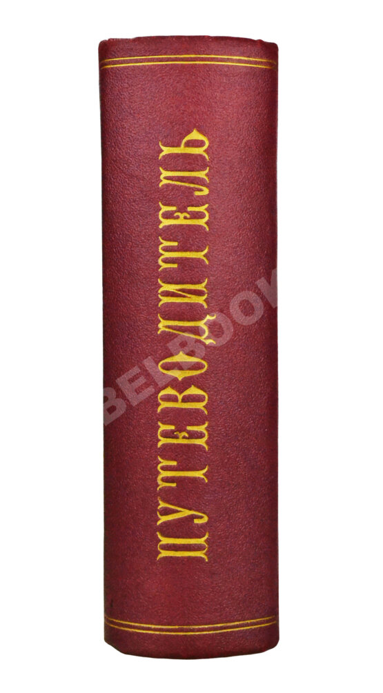 Антикварная книга Поволжье. Природа, быт, хозяйство. Путеводитель по Волге, Оке, Каме, Вятке и Белой