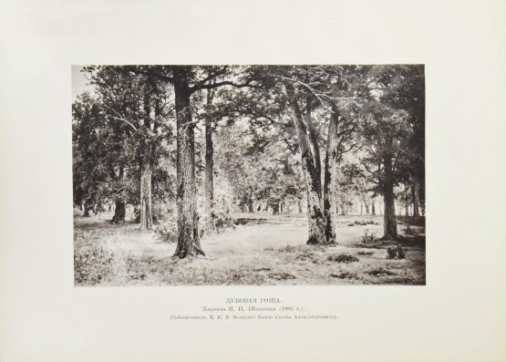 Антикварная книга Конволют из двух изданий фототипий Ивана Шишкина