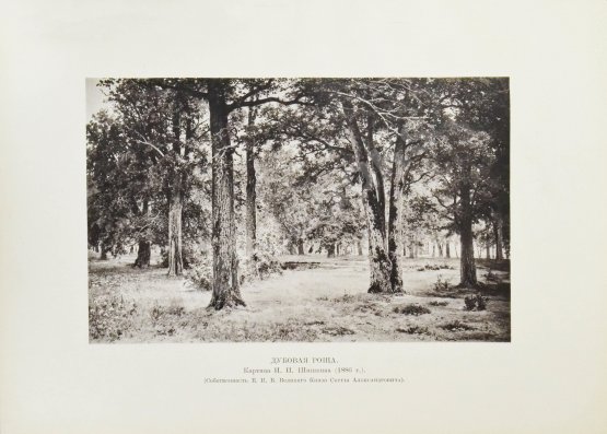 Антикварная книга Конволют из двух изданий фототипий Ивана Шишкина Антикварная книга Конволют из двух изданий фототипий Ивана Шишкина