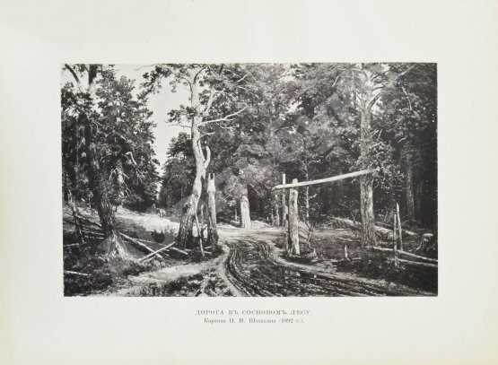 Антикварная книга Конволют из двух изданий фототипий Ивана Шишкина