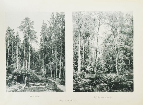 Антикварная книга Конволют из двух изданий фототипий Ивана Шишкина Антикварная книга Конволют из двух изданий фототипий Ивана Шишкина
