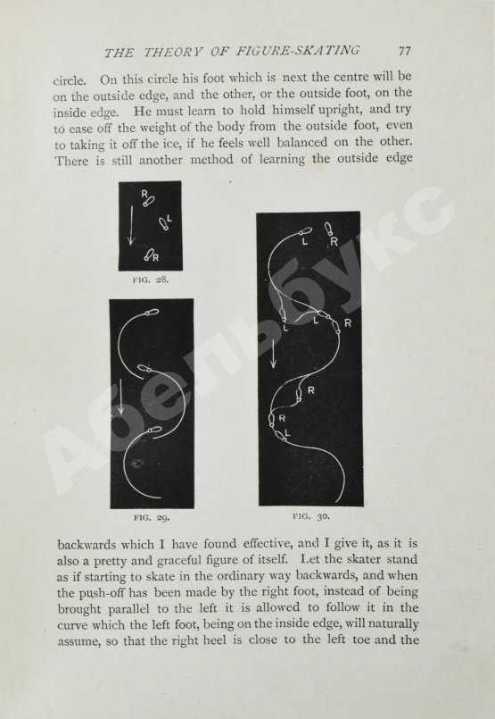 Антикварная книга Коньки. Фигурное катание. Кёрлинг. Тобогган. Буерный спорт. Бенди. Первое издание