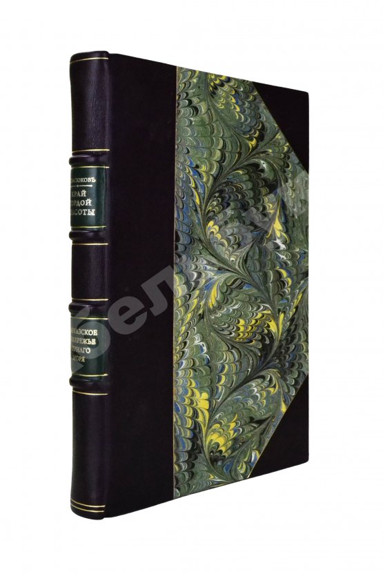 Антикварная книга Васюков, С.И. «Край гордой красоты». Кавказское побережье Чёрного моря