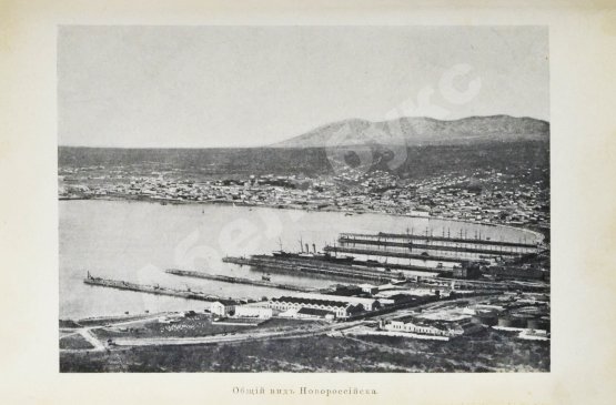 Антикварная книга Васюков, С.И. «Край гордой красоты». Кавказское побережье Чёрного моря