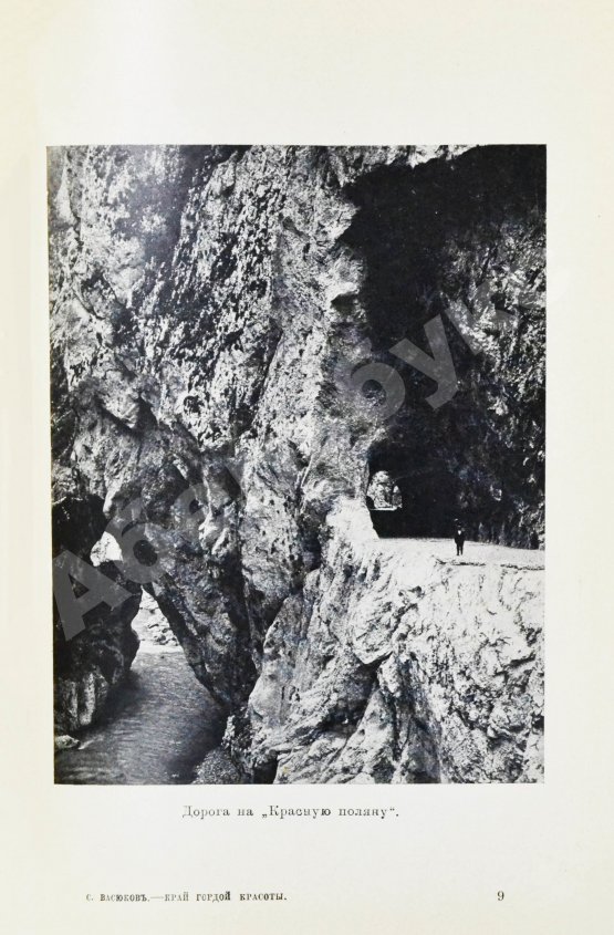 Антикварная книга Васюков, С.И. «Край гордой красоты». Кавказское побережье Чёрного моря