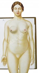 Платен, М. Новый способ лечения. Настольная книга для здоровых и больных