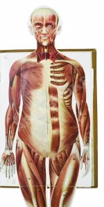 Платен, М. Новый способ лечения. Настольная книга для здоровых и больных