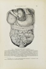 Платен, М. Новый способ лечения. Настольная книга для здоровых и больных