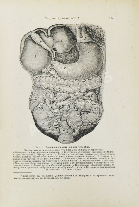 Антикварная книга Платен, М. Новый способ лечения. Настольная книга для здоровых и больных