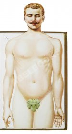 Платен, М. Новый способ лечения. Настольная книга для здоровых и больных