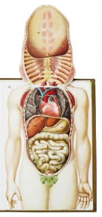 Платен, М. Новый способ лечения. Настольная книга для здоровых и больных