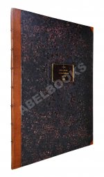 Таранные упражнения при эскадре броненосных судов на Транзундском рейде в 1870 году