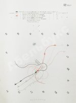 Таранные упражнения при эскадре броненосных судов на Транзундском рейде в 1870 году