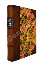 Васьковский, Е.В. Организация адвокатуры