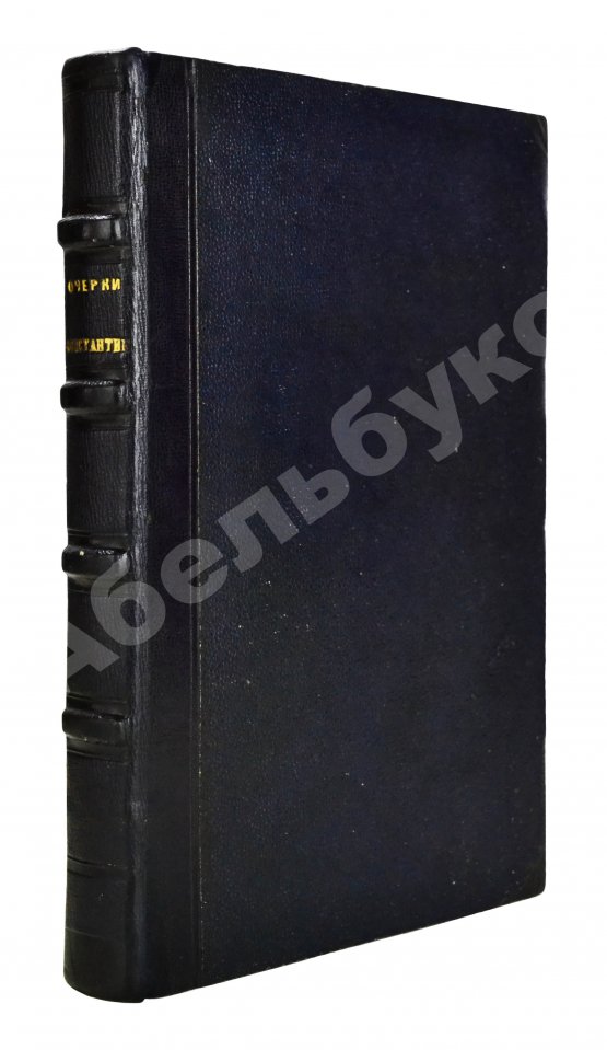 Антикварная книга Живописные очерки Константинополя