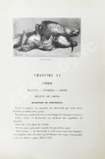 Gouffé, J. Le livre de cuisine par Jules Gouffe. La cuisine de menage et la grande cuisine