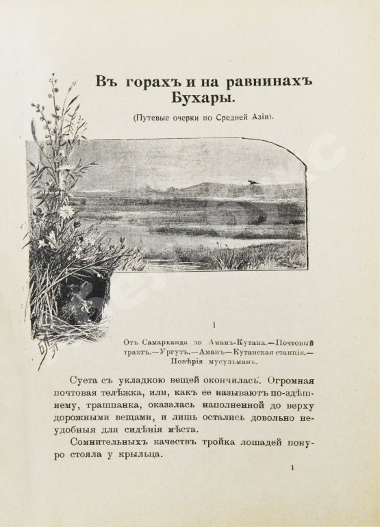 Антикварная книга Логофет, Д.Н. В горах и на равнинах Бухары (Очерки Средней Азии)