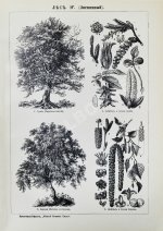 Малый энциклопедический словарь